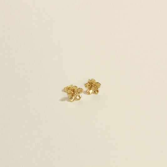 Forget-Me-Not 9ct Yellow Gold Earrings
