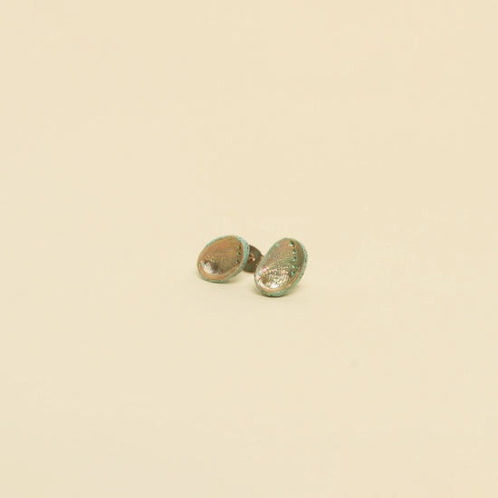 Paua Shell Sterling Silver Stud Earrings